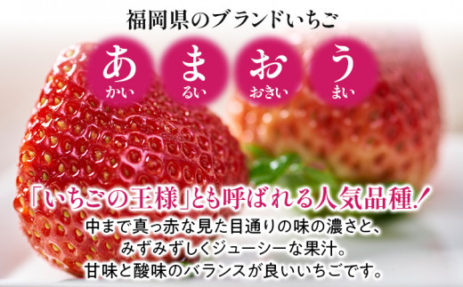 あまおう 1パック＆ふくや味の明太子290g 辛子明太子 明太子 イチゴ いちご 果物 フルーツ ※北海道・沖縄・離島は配送不可 大木町産 南国フルーツ CO009 あまおう1P＆明太子290g