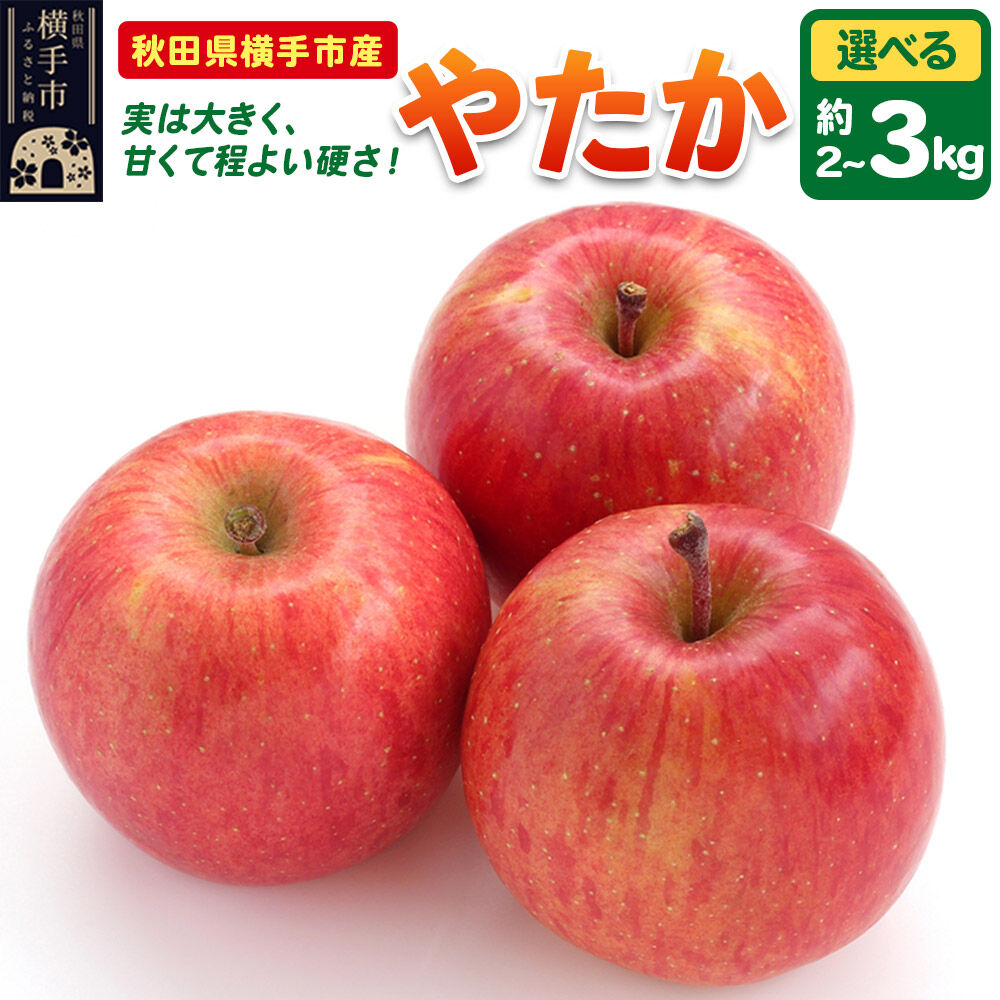 【ふるさと納税】【先行受付 9月下旬より発送】りんご やたか【選べる容量 約2kg／約3kg】 [先行予約 りんご やたか 林檎 アップル 赤 果実 果物 フルーツ 美味 おいしい]