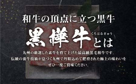 くまもと黒毛和牛 杉本本店 黒樺牛 A4~A5等級 ローススライス すき焼き用 250g