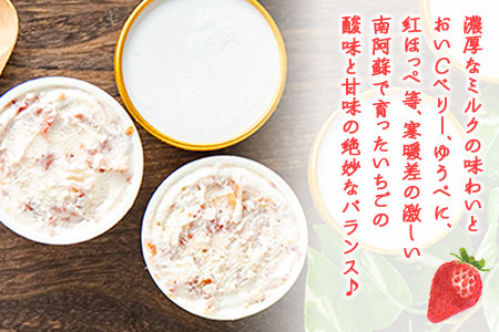 オリジナルミルフィーユアイス 南阿蘇岩下さんちのいちご園 90ml×12個 《60日以内に出荷予定(土日祝除く)》
