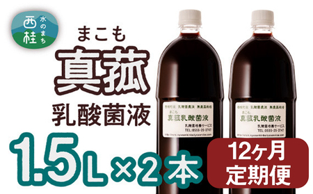 【定期便】真菰（まこも）乳酸菌液　1.5L×2本　12ヶ月定期便