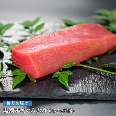 ふるさと納税 大月町 【定期便 12回】日本一!黒潮本まぐろ 赤身 |  | 03