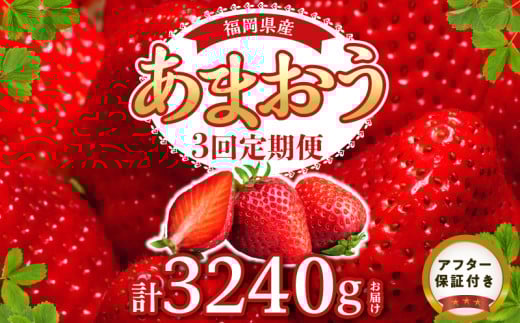【定期便 3回】あまおう 約270g 4パック×3回 計12パック