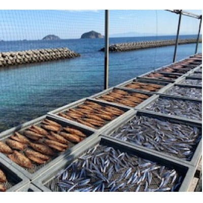 甑島の天日干しセット【配送不可地域：離島】