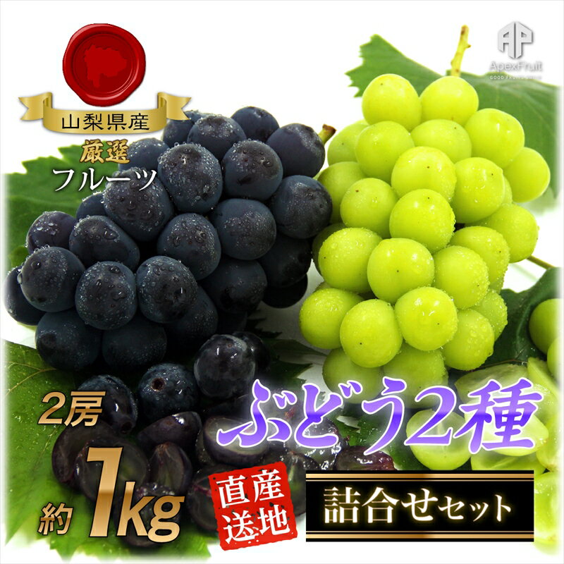 【ふるさと納税】 ＜2026年発送先行予約＞ 厳選！南アルプス市産　ぶどう2種詰合せ　2房　約1.0kg ふるさと納税 葡萄 ぶどう 果物 フルーツ 詰め合わせ おすすめ 山梨県 南アルプス市 送料無料 ALPDD008