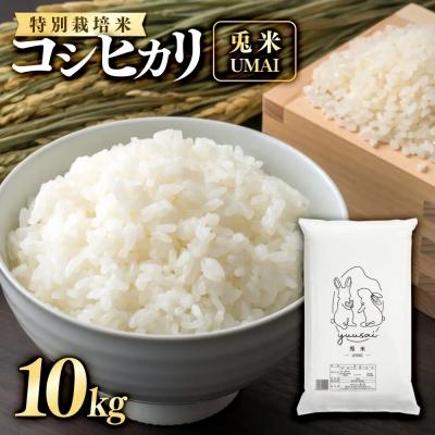 ふるさと納税 境港市 <令和7年産>特別栽培米!兎米-UMAI- コシヒカリ(10kg)