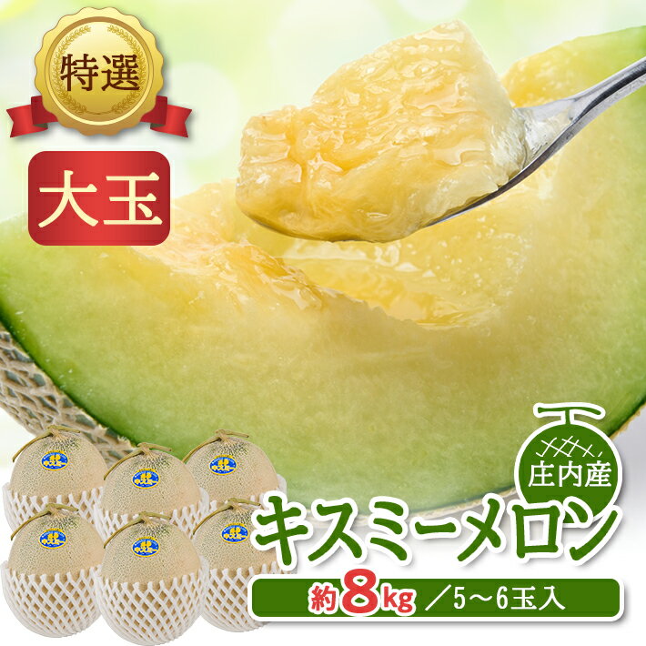 【ふるさと納税】特選 キスミーメロン 約8kg（大玉 5～6玉入） 青肉 つる付 山形県庄内産 7月中旬〜8月上旬頃お届け ※着日指定不可 青肉メロン メロン ツル付き セット 東北 山形県 酒田市 庄内