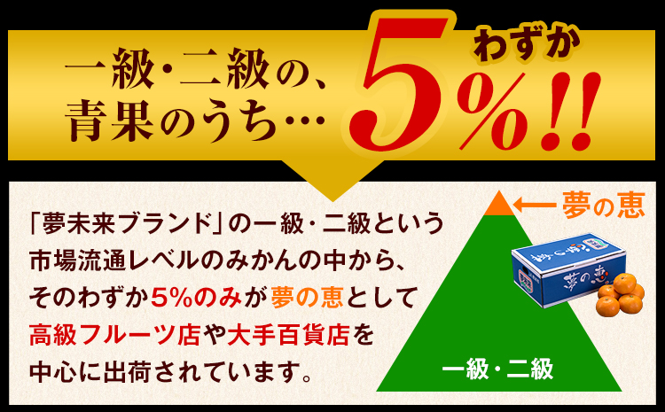 夢の恵 みかん 約2.5kg(20玉〜30玉前後) 熊本県産 （長洲町産含む） 糖度12度以上 ブランドみかん ブランド 贈答用 贈り物《1月中旬-2月中旬頃より出荷予定》 熊本県 長洲町