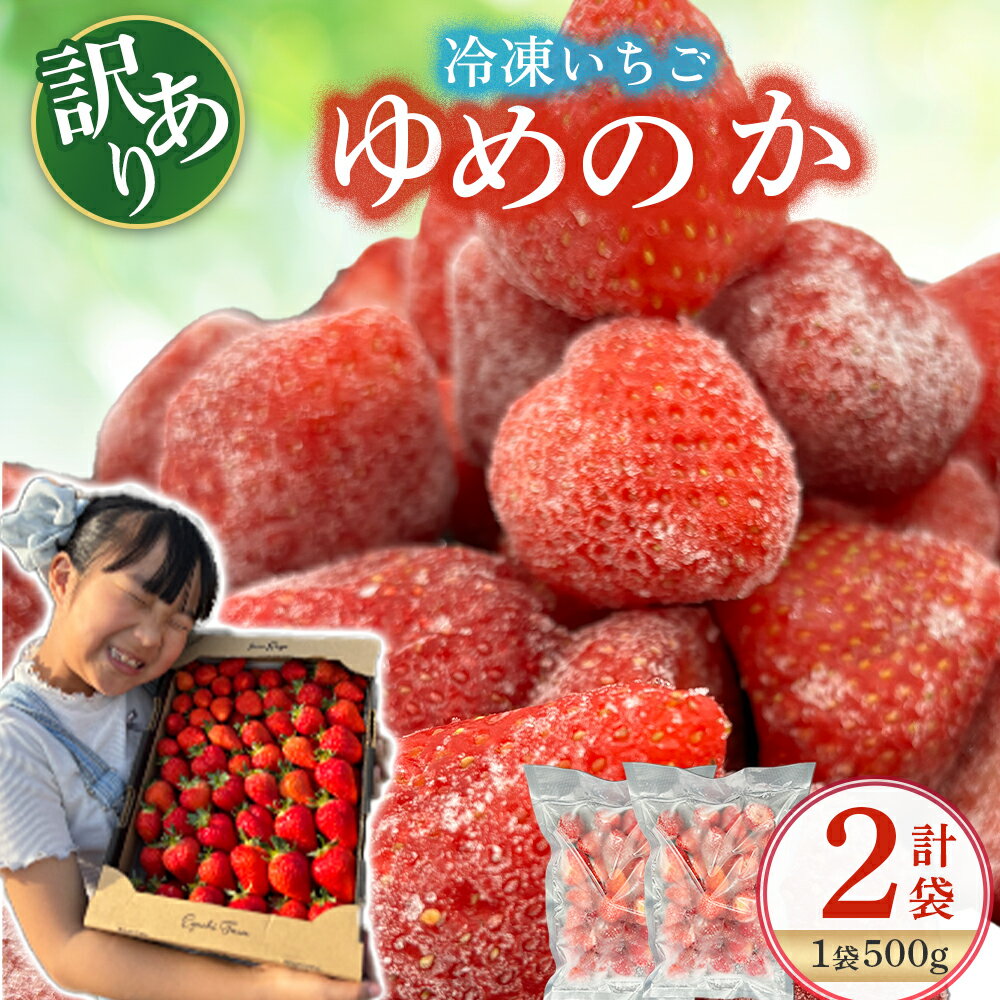 【ふるさと納税】MA15 訳あり！太良町産「ゆめのか」冷凍いちご500g×2袋 佐賀県 太良町