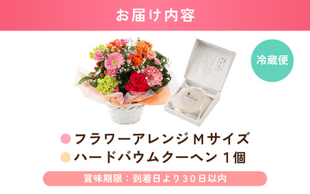 母の日限定！ カーネーション入り フラワーアレンジメントM ＆ バウムクーヘン (バウムッシュ) ギフトセット カラフル [B-20708_03]