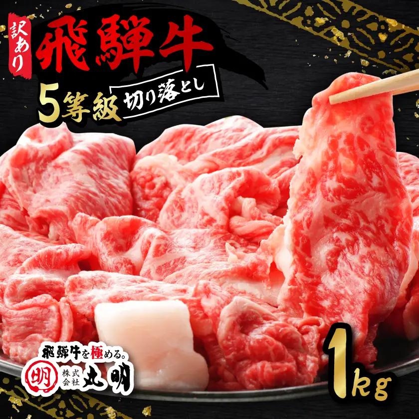 【訳あり】飛騨牛5等級　切り落とし用途いろいろ　1kg【配送不可地域：離島】【1668213】