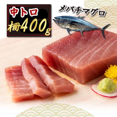 ふるさと納税 室戸市 天然メバチマグロ 【 中トロ 】400g(柵) |  | 01