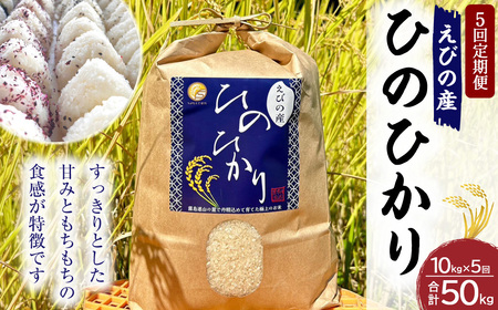 《令和7年産先行予約》【2025年11月発送】【5回定期便】米 ひのひかり 10kg 合計 50kg 九州 霧島 えびの産 ヒノヒカリ 発送直前に精米 農家 直送 お米 おこめ こめ コメ 白米 ふるさと納税 10キロ 九州産 宮崎県産 宮崎県 送料無料