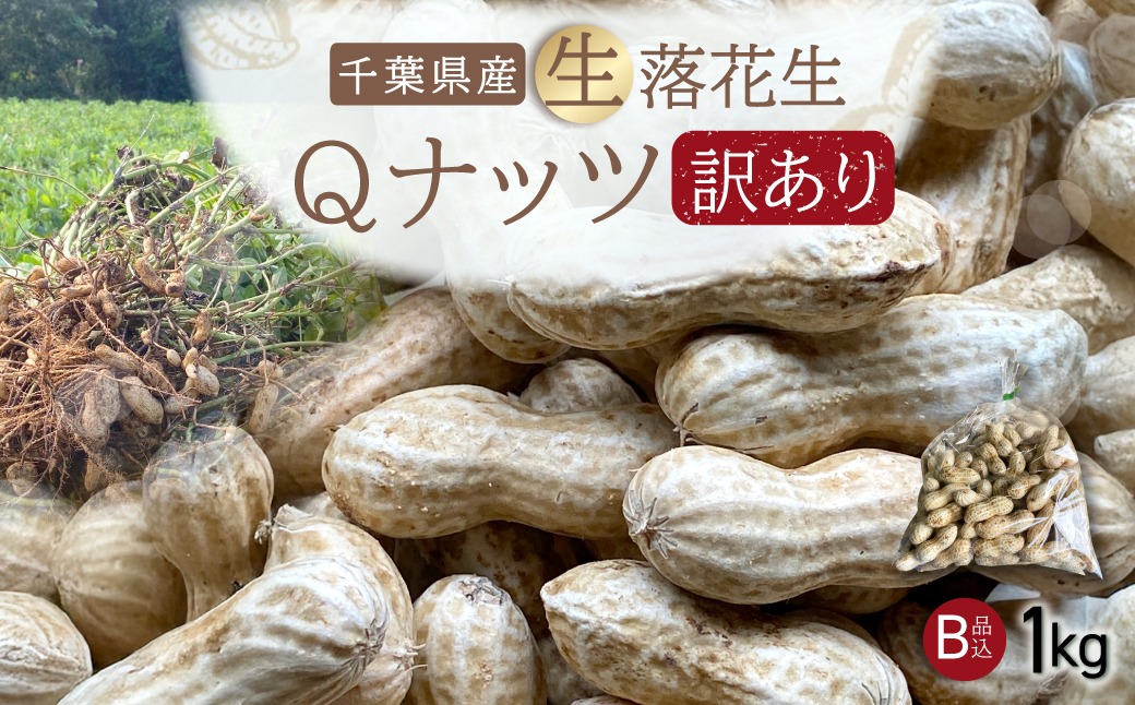 【先行受付・9月上旬より順次発送！】【訳あり】Qナッツ 生落花生 1kg  SMAH015