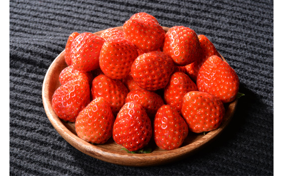 No.270 光姫（イチゴ）約1.2kg〜約1.4kg（4パック） ／ 苺 いちご 果物 大阪府
