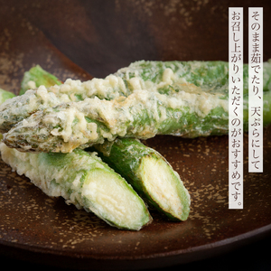 2026年産 柔らかくてみずみずしい朝取りグリーンアスパラ(春芽)3L 1kg【配送不可地域：離島】 BHRG028 | アスパラガス