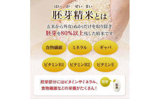 《2ヶ月定期便》山形県産 無洗米 令和7年産 はえぬき 胚芽精米 10kg(2kg×5袋)【山形県産 BG精米製法】