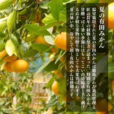 ふるさと納税 有田川町 夏の有田みかん(約1.5kg)と 有田のはちみつ( みかん蜂蜜・百花蜜 各210g) セット |  | 02