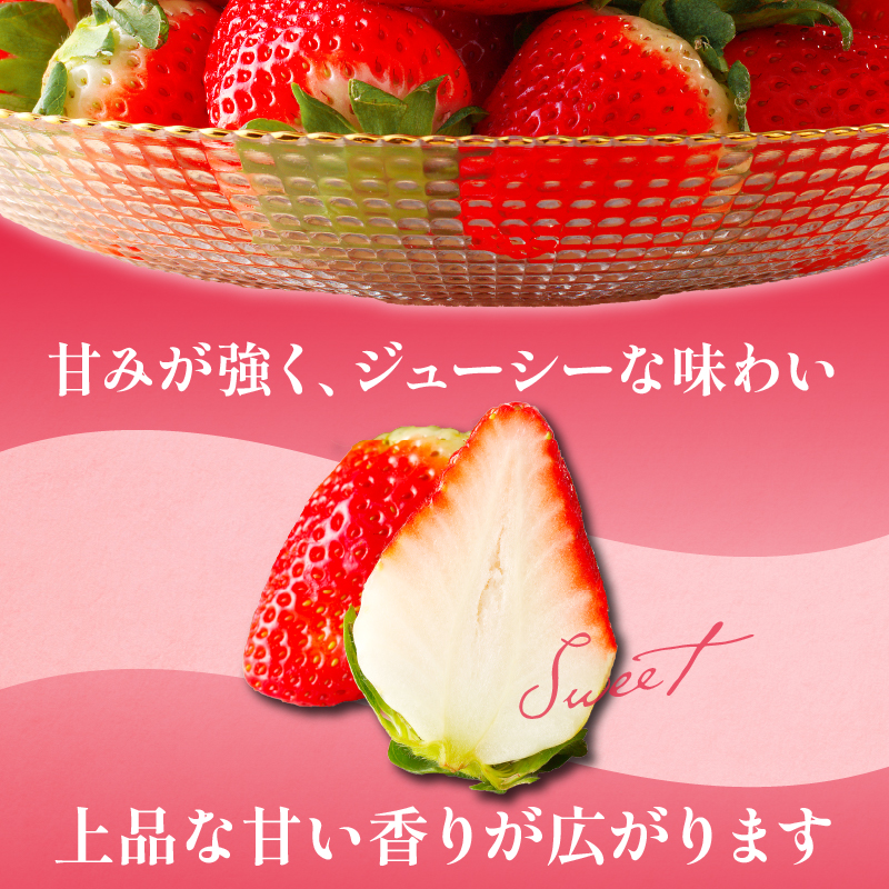 先行予約≪数量限定≫都農町産いちご「さがほのか」計1kg以上_T015-001【 都農町新着 フルーツ 果物 デザート イチゴ 国産 人気 ギフト 食品 旬 苺 くだもの 果実 贈り物 お土産 送料無