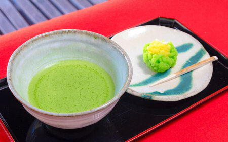 文化の里 古田紹欽記念館 呈茶回数券 【No.478】 チケット お抹茶 記念館 山県市 × 岐阜市 / 古田紹欽記念館[ANFF001]