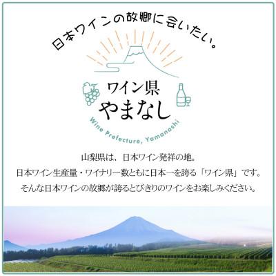 ふるさと納税 山梨県 マンズワイン ソラリス 甲州&ベーリーA 2本セット |  | 03