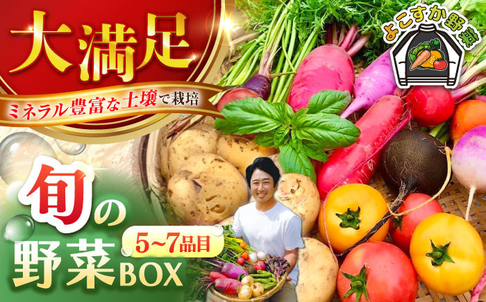 
            すずなり採れたて野菜BOX（5～7品目）野菜セット 詰め合わせ 季節野菜 やさい 産地直送 旬 新鮮 横須賀【鈴也ファーム】 [AKCE001] 
          