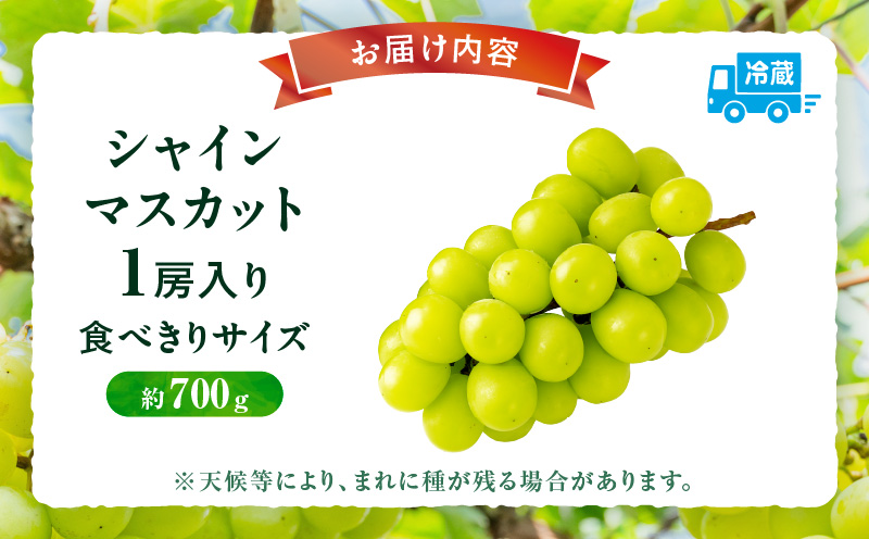 【食べきりサイズ】シャインマスカット　約700g | シャインマスカット マスカット ぶどう ブドウ 葡萄 果物 フルーツ 新鮮 くだもの 国産 ギフト お裾分け 旬 人気 種なし 皮ごと食べられる ジューシー 糖度が高い 季節限定 おすすめ 旬の果物 香川 香川県 三木町 |_mk006-144