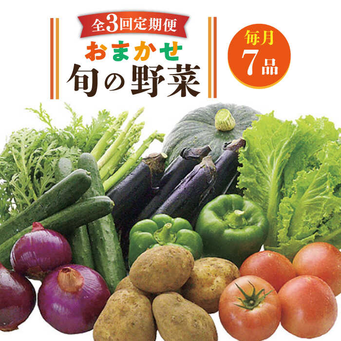 【ふるさと納税】【全3回定期便】旬の野菜 7品《壱岐市》【壱岐市農業協同組合】 [JBO044] 野菜 やさい 旬 季節 セット 詰め合わせ 産地直送 新鮮 サラダ スムージー 定期便 冷蔵配送 30000 30000円 3万円