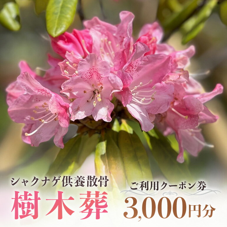 【ふるさと納税】自然供養のカンシャ 樹木葬　シャクナゲ供養散骨　ご利用クーポン券 3000円分