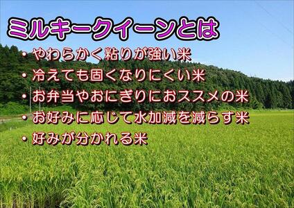 【特別栽培米】新潟県産ミルキークイーン　5kg（越後長岡育ち）