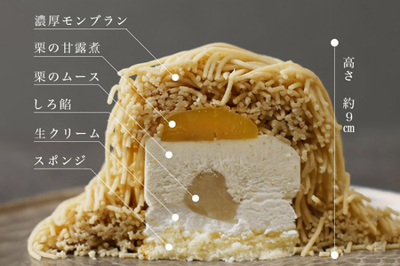 笠間栗の モンブラン 2個入 国産栗 AC-001