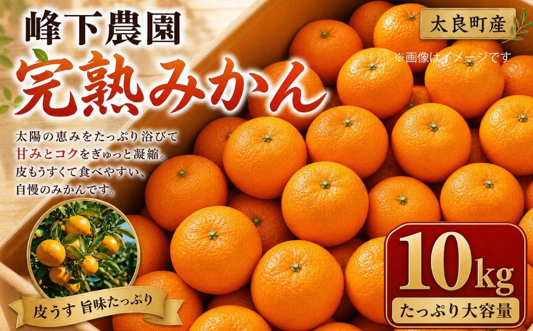 
                  峰下農園の完熟みかん　１０kg 【2026年11月上旬-12月下旬発送予定】フルーツ 果物 くだもの 柑橘 みかん ミカン 蜜柑 たらみかん 太良みかん 温州みかん 完熟みかん 甘熟 柑橘 国産 佐賀県産 太良町 こだわり 有機栽培 産地直送 贈答品 詰め合わせ 極甘 佐賀県 太良町 N49x1
                