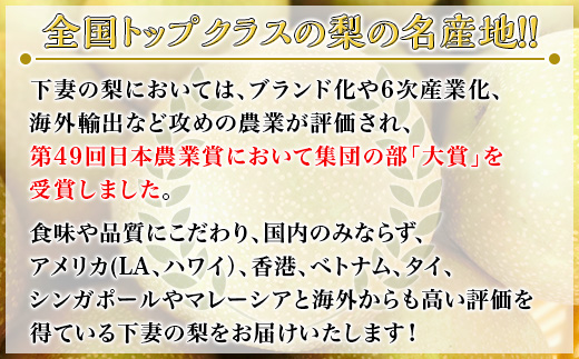 【先行予約】【7月分 数量限定】茨城県産「あきづき」約5kg【2025年8月下旬~9月中旬にかけて発送予定】【 梨 果物 くだもの フルーツ 国産 季節限定 人気 贈り物 お取り寄せ デザート 】