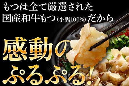 和牛もつ鍋 醤油味 5人前（5人前×1セット）福岡 グルメ 冬 博多グルメ お土産 お取り寄せ 国産 小腸 ホルモン こだわり モツ鍋 もつなべ