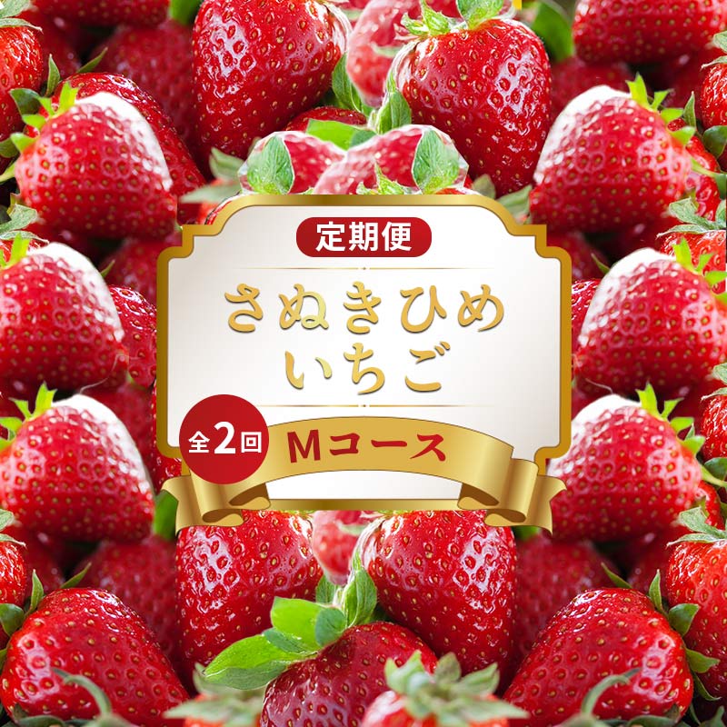 【ふるさと納税】 いちごの定期便 2回 Mコース 果物 フルーツ いちご 苺 さぬきひめ デザート スイーツ ケーキ ゼリー ジュース アイス ジェラート フルーツ大福 ふるさと納税定期便 定期便 ふるさと納税フルーツ ギフト 贈答 送料無料 ふるさと納税 香川県 丸亀市