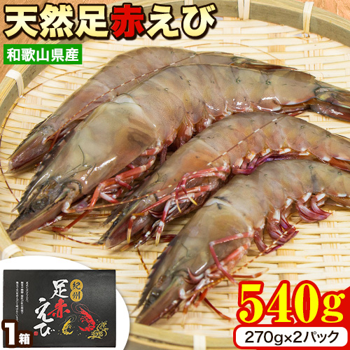 【先行予約】紀州和歌山産天然足赤えび 540g(270g×2パック) 化粧箱入 魚鶴商店《2026年1月上旬-2027年2月上旬頃出荷》和歌山県 日高町 足赤えび えび エビ