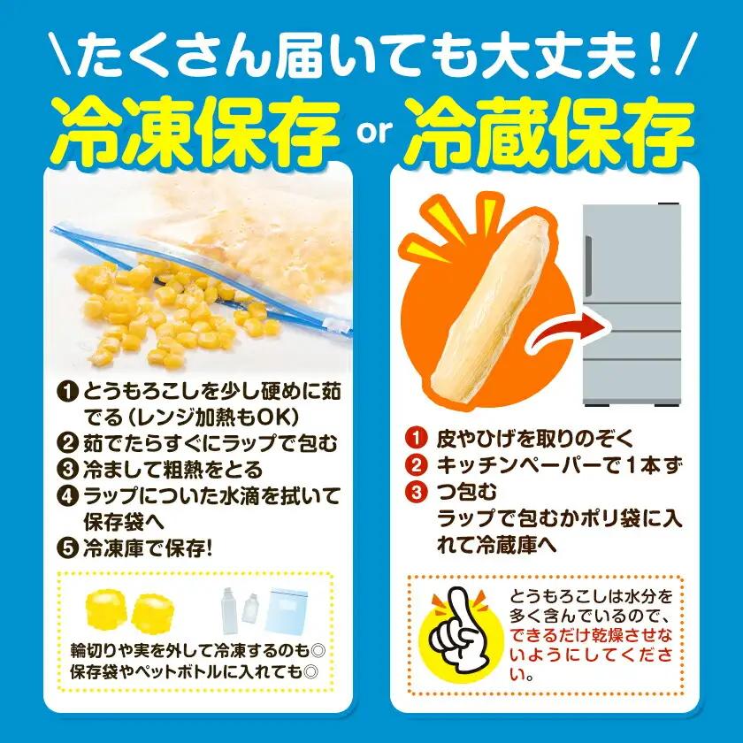 とうもろこし約4kg老沼利治《6月中旬-7月中旬頃出荷》とうもろこしスイートコーン