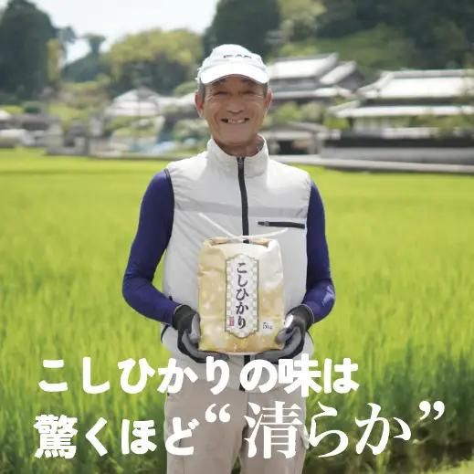 精米味くらべセット　令和8年産コシヒカリ・ひとめぼれ各5kg（9月末頃より順次出荷予定）