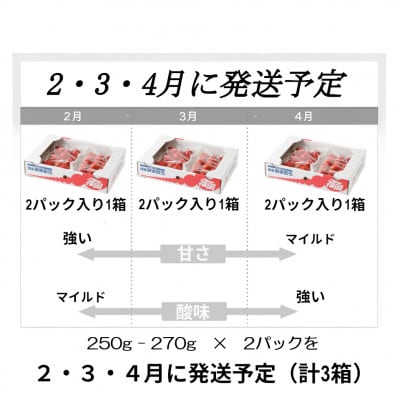 【発送月固定定期便】博多あまおう 250g-270g×2パック(岡垣町)全3回【配送不可地域：離島】