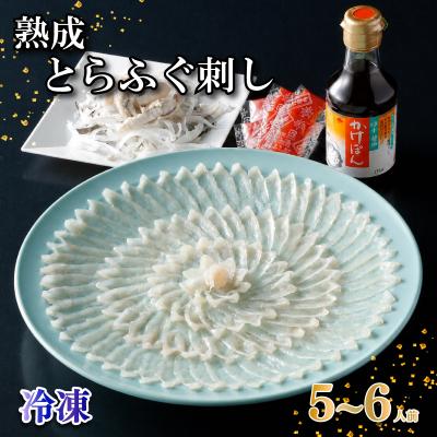 ふるさと納税 下関市 熟成とらふぐ刺し 5〜6人前 冷凍 フグ刺し 菊盛 NE008