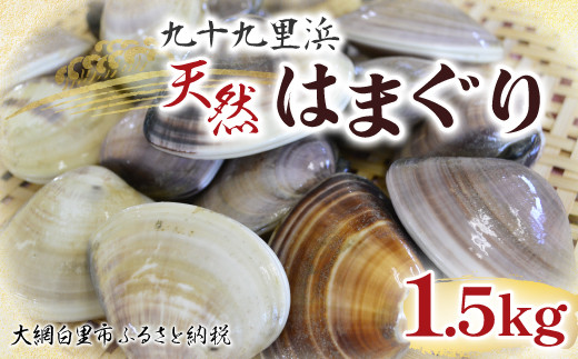 九十九里浜　天然はまぐり　1.5kg【厳選】（10月上旬より順次発送予定） ふるさと納税 はまぐり ハマグリ 蛤 天然 九十九里産 国産 ひな祭り 節句 おせち 千葉県 大網白里市  送料無料 P007