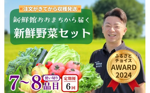 【定期便 全6回】産地直送 新鮮野菜セット《7～8品》 旬野菜 詰め合わせ 採れたて 定期便 季節 野菜 おまかせ 旬 春野菜 夏野菜 秋野菜 果物 新鮮 岩手県産 国産 詰め合わせ 定期便 定期 人気 岩手県 一関市