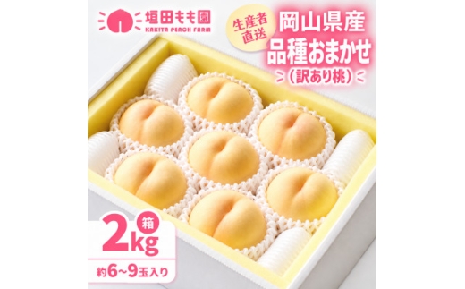 【2027年7月下旬より順次発送予定】岡山の桃　品種おまかせ『訳あり桃』　2kg箱(約6～9玉入り)【1715289】
