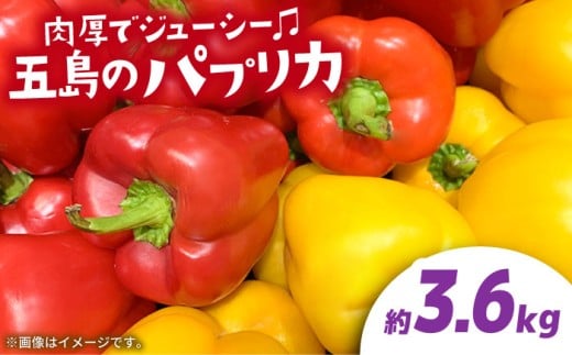 【肉厚ジューシー】五島のパプリカ 約3.6kg 五島市/HPIファーム  [PCP010] 野菜 やさい 国産 新鮮 緑黄色野菜 産地直送 とれたて