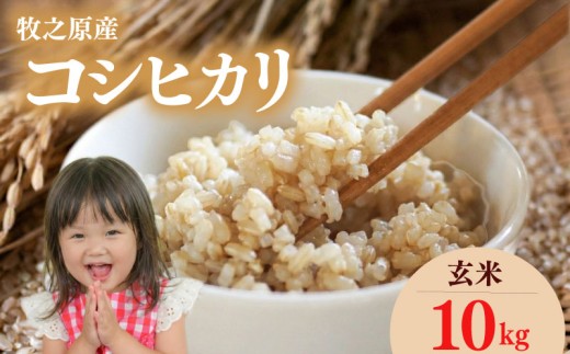 【令和8年度産】コシヒカリ 玄米 10kg こしひかり お米 米 人気 令和7年度産 R8 2026年度 2026年産 ごはん ご飯 おいしい 美味しい こめ コメ おこめ おすすめ オススメ おにぎり お弁当 食品 おむすび ギフト プレゼント 日常 家庭用 食卓 もちもち 甘い 国産 産地直送 産直 げんまい 食物繊維 食品 和食 日用品 家庭 牧之原産 タイラファーム 静岡県 牧之原市