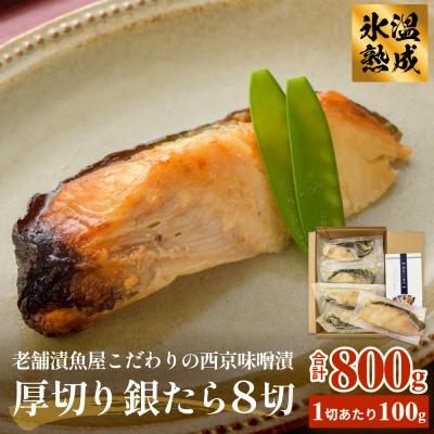 ふるさと納税 石巻市 厚切り銀たら西京味噌漬8切セット 冷凍 銀鱈 銀タラ 西京漬け 味噌漬け 小分け 切り身 魚 お魚