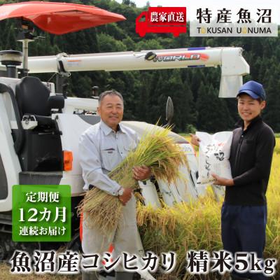 ふるさと納税 魚沼市 【毎月定期便】農家直送!魚沼産コシヒカリ(精米)5kg全12回