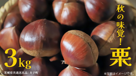 秋の味覚「 栗 」3kg 【2026年9月上旬発送開始】(茨城県共通返礼品：大子町)