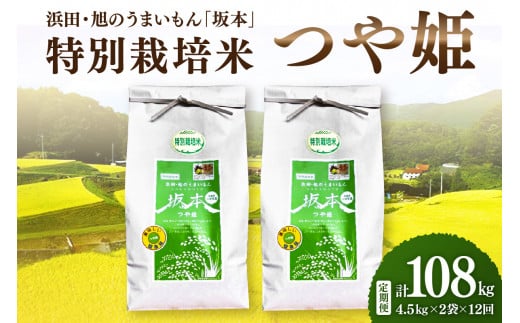 【定期便】【令和6年産】浜田・旭のうまいもん「坂本」特別栽培米つや姫　4.5kg×2袋×12回 【1034】