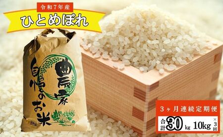 【3ヶ月連続定期便】農家直送！精米 令和7年度産 宮城県亘理町産 ひとめぼれ 10kg(計30kg)